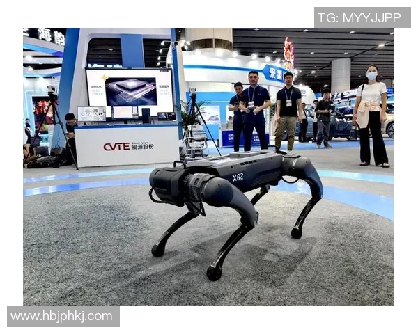 哈德森的崛起与挑战：探索未来发展的新机遇与新思路