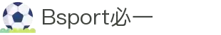 必一（运动科技有限公司）官方网站-B·Sport